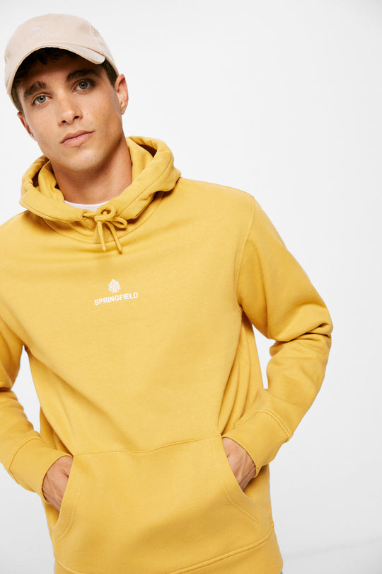Plain sweatshirt with logo hood