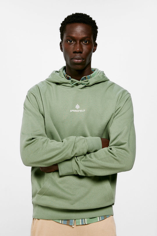 Plain sweatshirt with logo hood