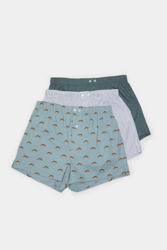 Pack of 3 printed poplin boxers