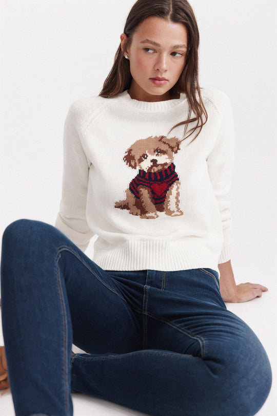 Dog jumper