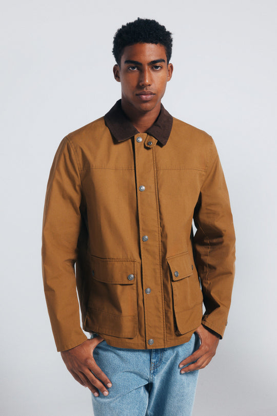 باركا قصيرة بياقة كوردروي