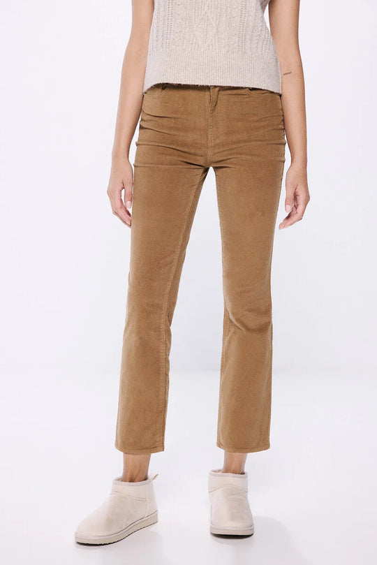 بنطال كوردوي بتصميم كيك فلاير