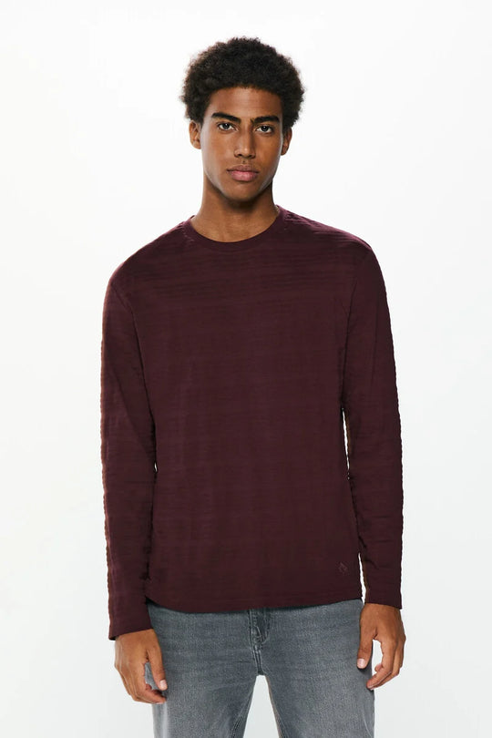 تي شيرت بولو مزخرف بأكمام طويلة مخطط